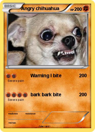 Pokemon Angry Chihuahua 11