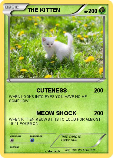 Pokemon THE KITTEN