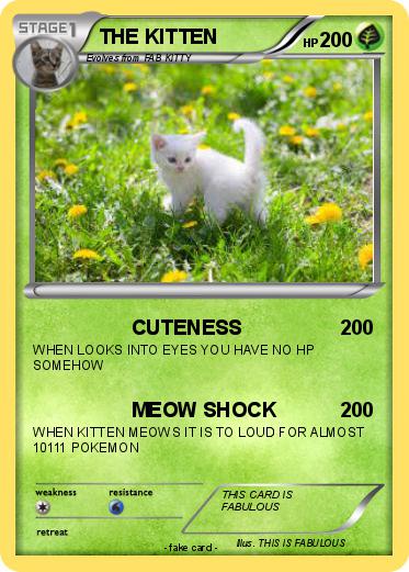 Pokemon THE KITTEN