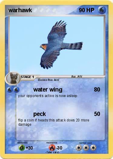 Pokemon warhawk