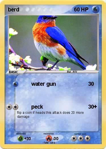 Pokemon berd