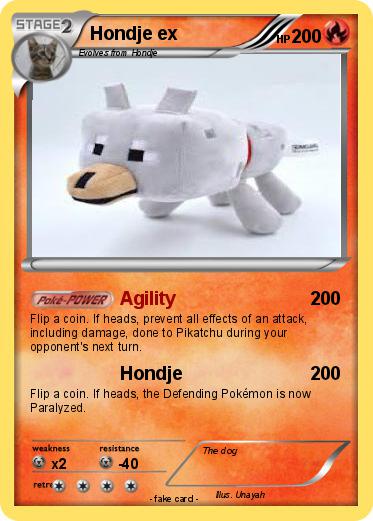 Pokemon Hondje ex