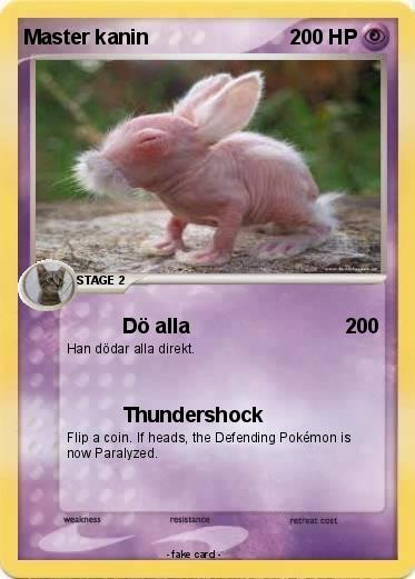 Pokemon Master kanin