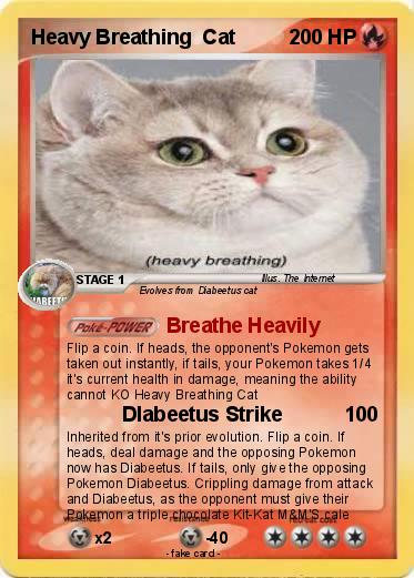 Pokemon Heavy Breathing  Cat
