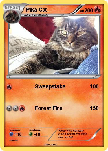 Pokemon Pika Cat