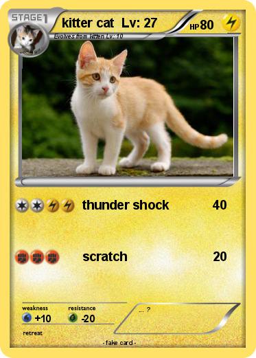 Pokemon kitter cat  Lv: 27