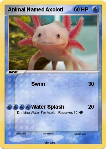 Pokemon Animal Named Axolotl