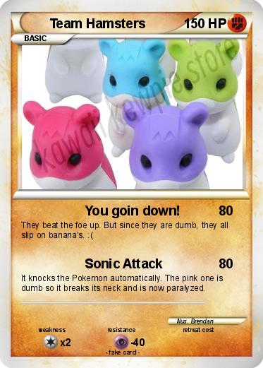 Pokemon Team Hamsters