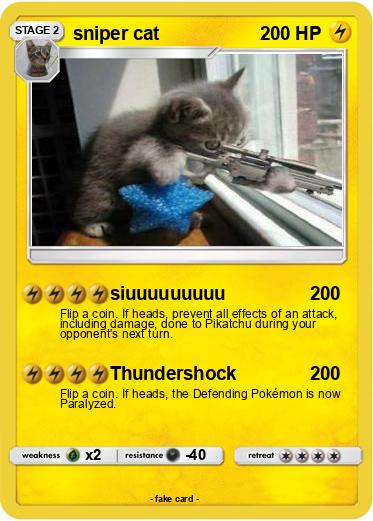 Pokemon sniper cat