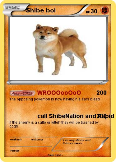 Pokemon Shibe boi