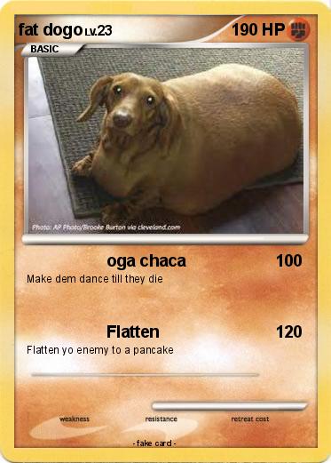 Pokemon fat dogo