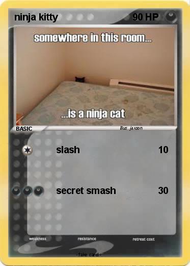 Pokemon ninja kitty