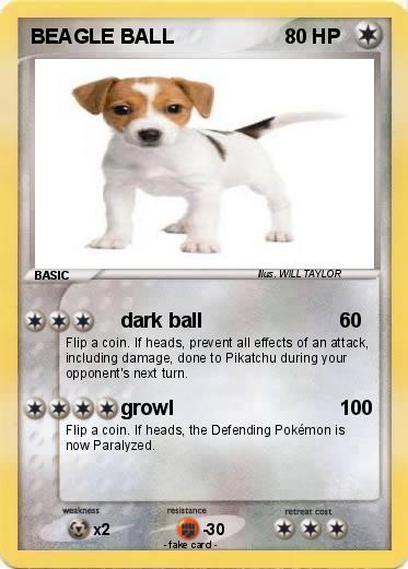 Pokemon BEAGLE BALL