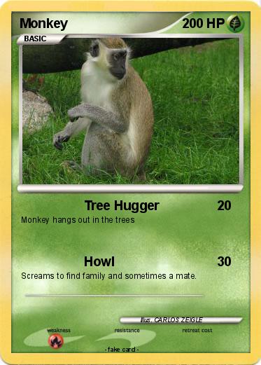 Pokemon Monkey