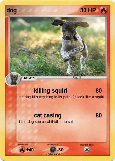 Pokemon dog
