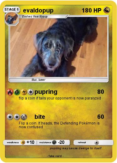 Pokemon evaldopup