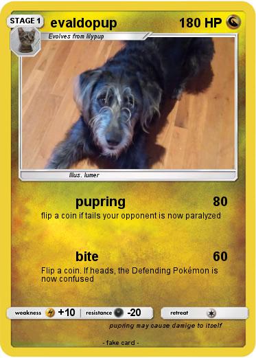 Pokemon evaldopup
