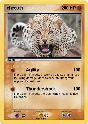 Pokemon cheetah