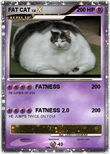 Pokemon FAT CAT