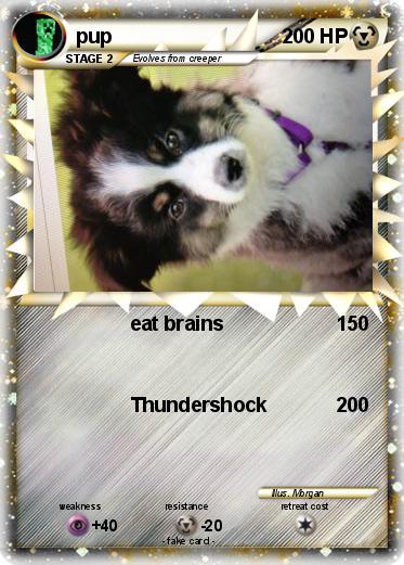 Pokemon pup