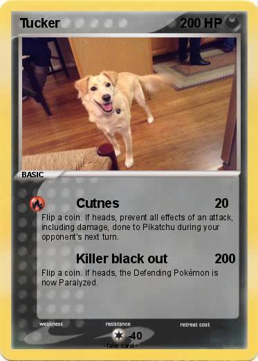 Pokemon Tucker