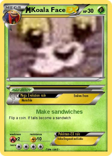 Pokemon Koala Face