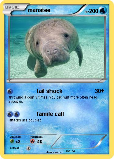 Pokemon manatee