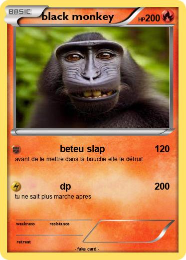 Pokemon black monkey