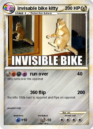 Pokemon invisable bike kitty