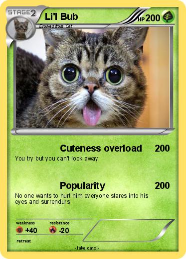 Pokemon Li'l Bub