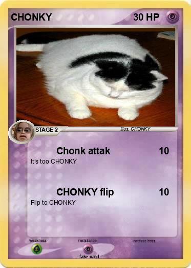 Pokemon CHONKY