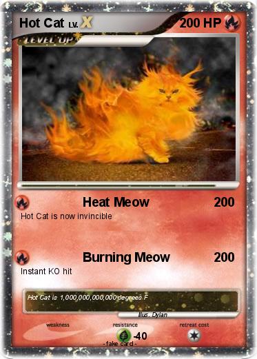 Pokemon Hot Cat