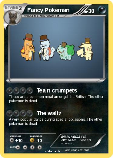 Pokemon Fancy Pokeman