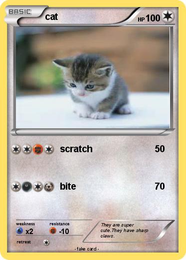 Pokemon cat