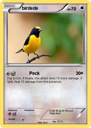 Pokemon birdede