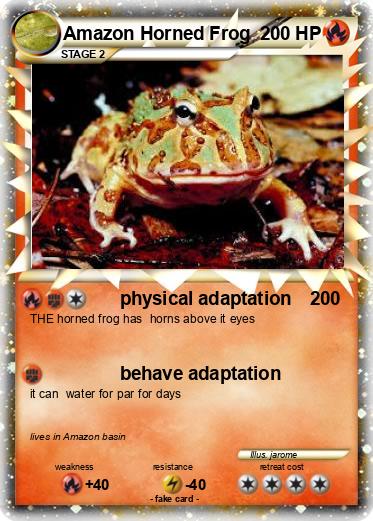 Pokemon Amazon Horned Frog