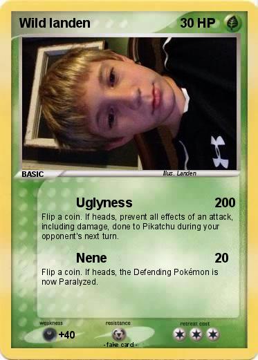 Pokemon Wild landen