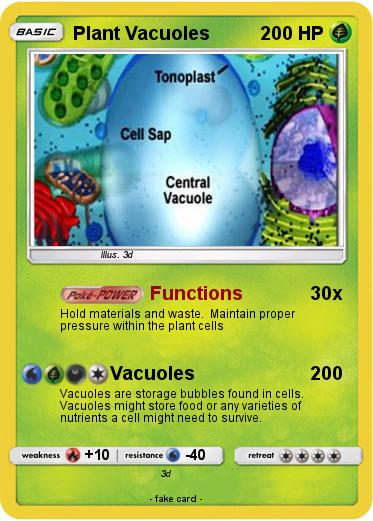 Pokemon Plant Vacuoles