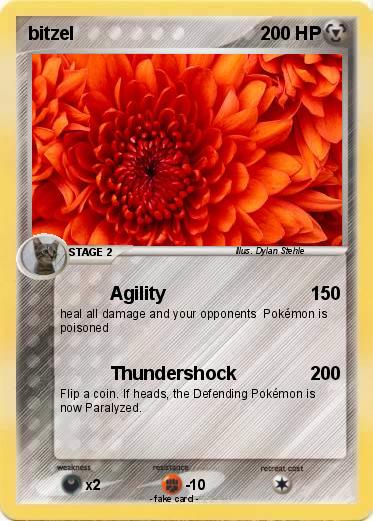 Pokemon bitzel