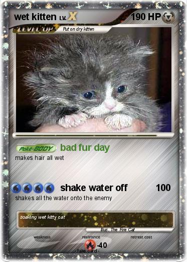 Pokemon wet kitten