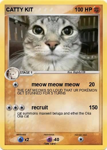 Pokemon CATTY KIT
