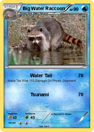 Pokemon Big Water Raccoon