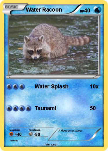 Pokemon Water Racoon