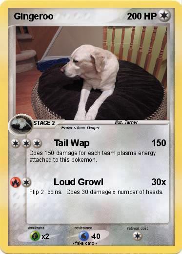 Pokemon Gingeroo
