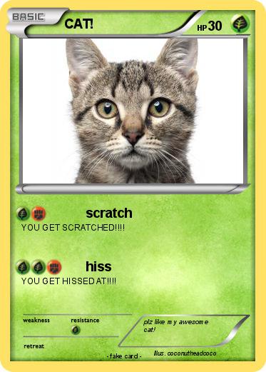 Pokemon CAT!