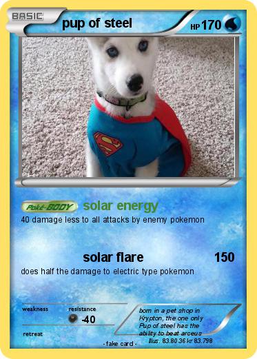 Pokemon pup of steel