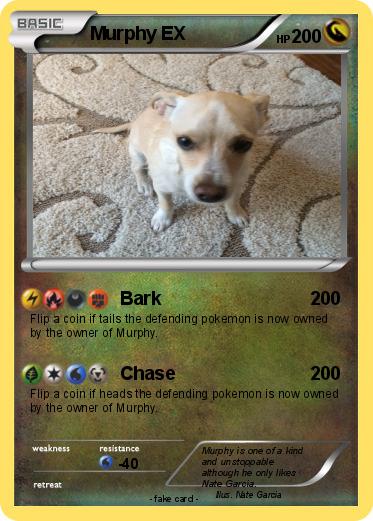 Pokemon Murphy EX