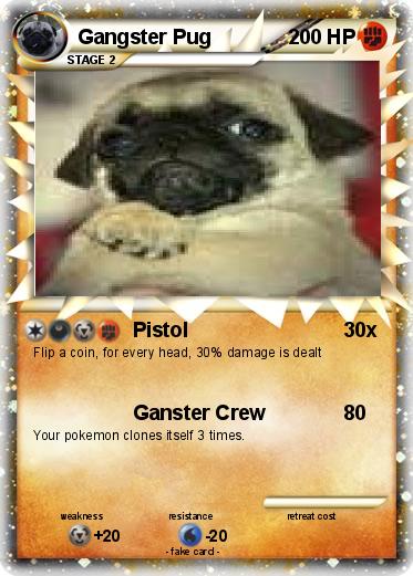 Pokemon Gangster Pug