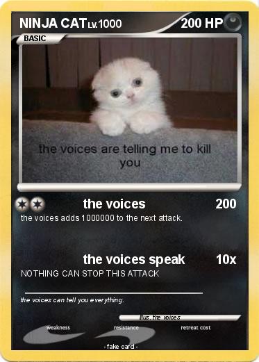 Pokemon NINJA CAT