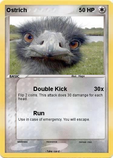Pokemon Ostrich